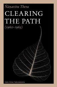 Clearing the Path (hardback) - cover
