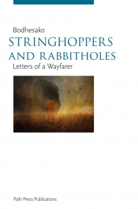 Stringhoppers and Rabbitholes (ebook) - cover